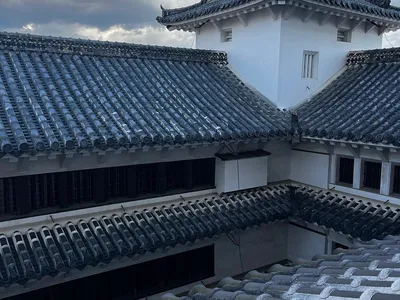 Himeji Castle Closeup
