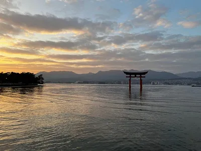 Miyajima Coastline